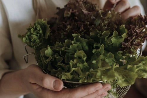 Gut Integrity & The Microbiome