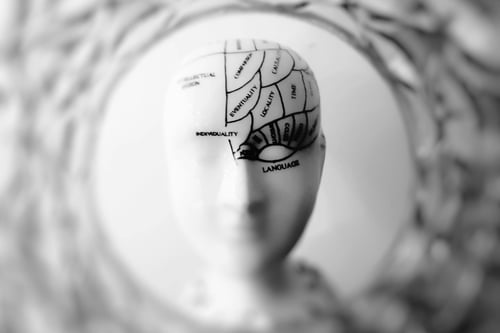 what-is-neuroplasticity